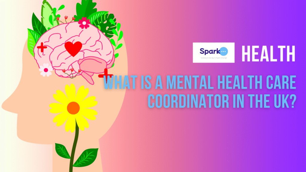 What is a mental health care coordinator in the UK?